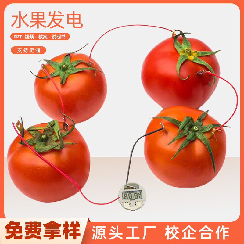 DIY自制水果发电科学实验器材科技小制作Steam物理小实验材料包,玩具/童车/益智/积木/模型,科学实验,淘宝优惠券,粉丝福利购,淘宝优惠卷