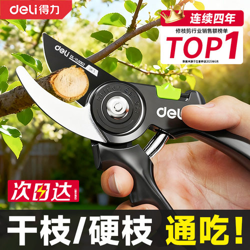 得力修剪树枝剪刀修枝剪果树剪枝专用园林花卉剪子花艺剪园艺剪刀
