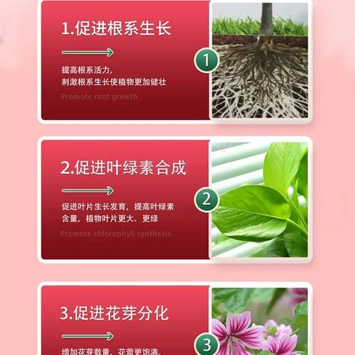 极速家用缓释营养棒通用缓释w肥养花兰花蔬菜氮磷钾草莓花卉绿植