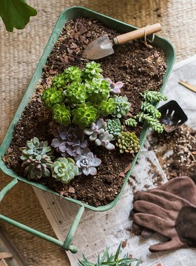 极速掬涵小推车花车花盆铁艺独轮车杂货H花园阳台花器美式乡村田