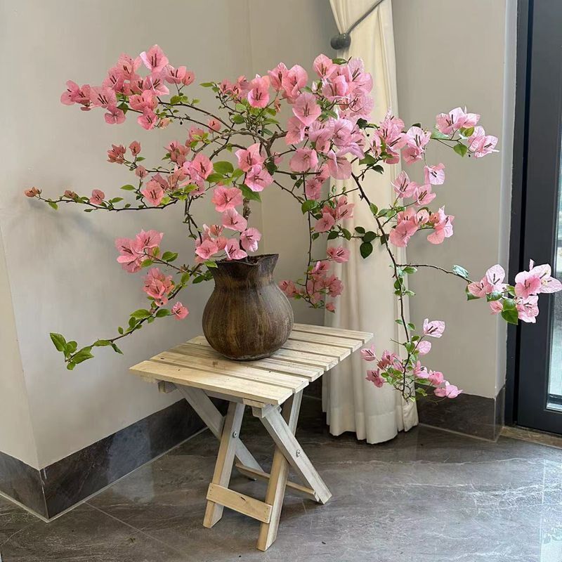 新品三角梅盆栽带k花苞发货樟红樱绿漳老桩小苗四季开花卉室内爬图片