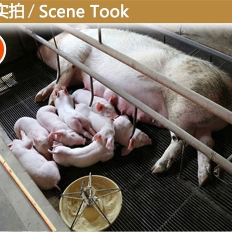 极速养猪场猪栏大棒香母畜适用野钓驱蚊艾条艾叶畜牧W蚊香棒兽用