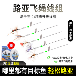 新品路亚假饵瓜子亮片飞蝇钩绑好线组套装钓马口R白条翘嘴微物昆