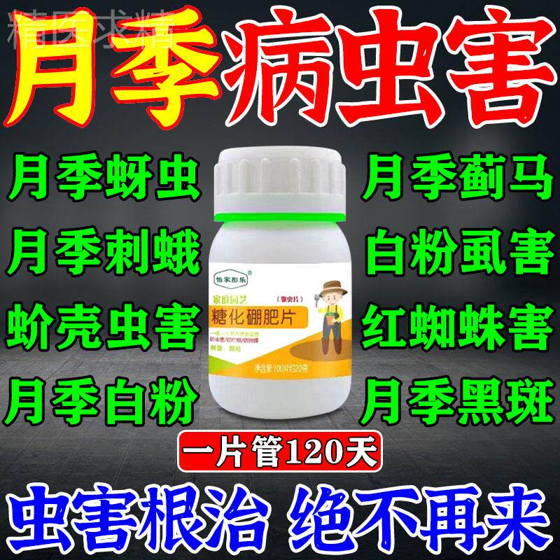 极速月季花病虫害常用药花卉绿植B通用药防虫片一扫光蚜虫白粉虱