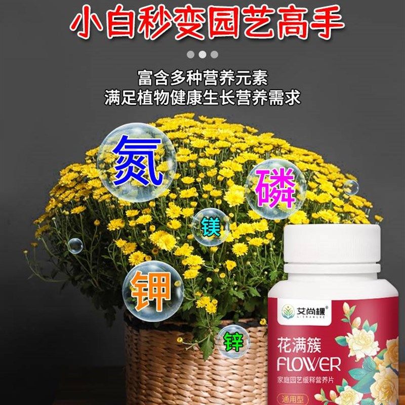 极速植物营养e缓释片通用型绿植肥料花卉多肉控释肥氮磷钾复合肥