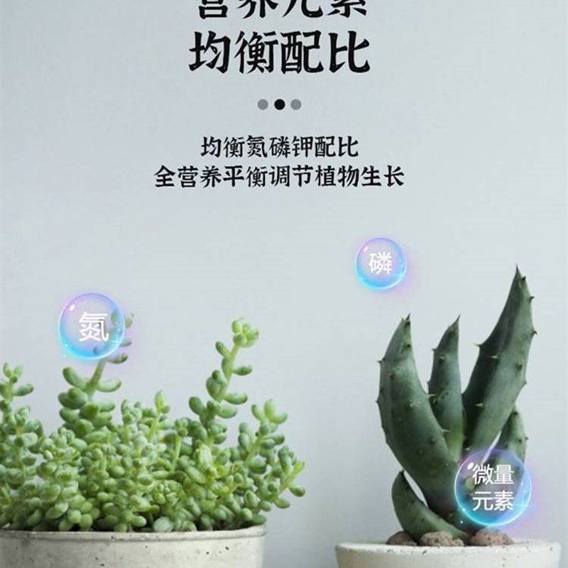 极速植物营养缓释片氮磷钾t种花养花复合肥控释肥花卉发财树室内