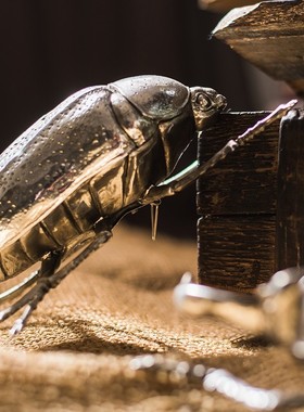 极速掬涵金属大甲虫花金龟挂件摆件墙面桌面装饰个Y性动物童话风