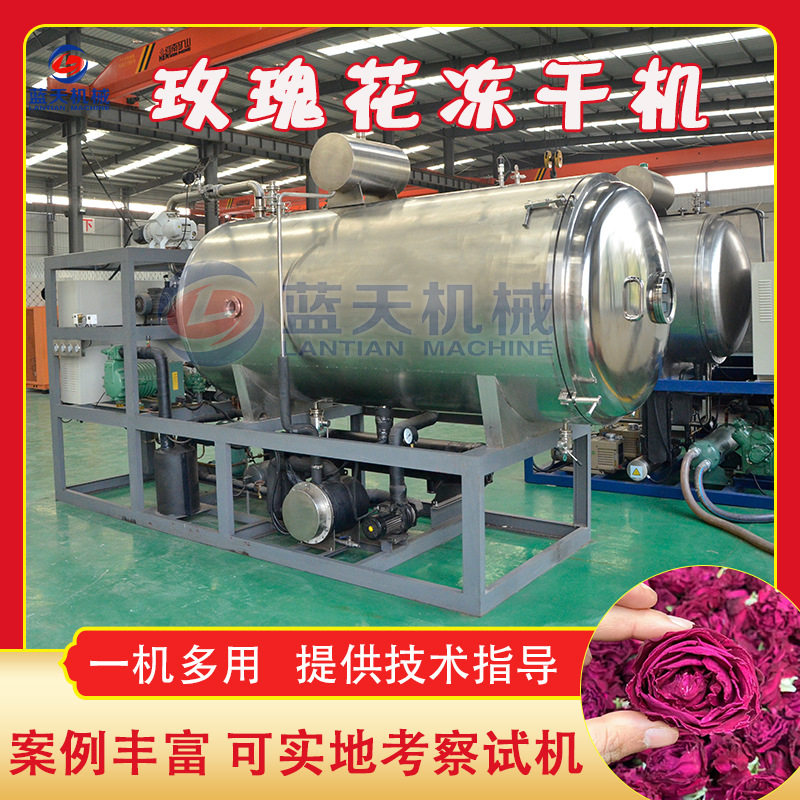 玫瑰花冻干机 全自动刺梨红茶花茶真空式干燥机 玫瑰花茶冻干设备图片