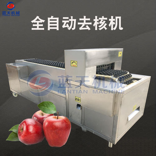 蓝天全自动去核机 新型苹果去核机 专业水果去核切瓣机生产厂家
