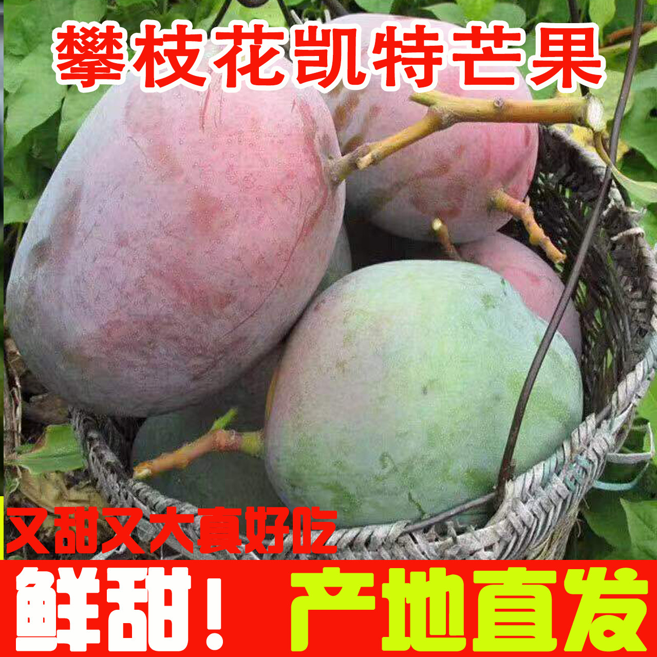 四川攀枝花凯特芒果9斤新鲜凯特芒水果当季应季鲜果王自然熟