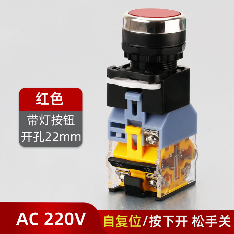 LA38-11D带灯自复位平扭启动11DNZS电源自锁按钮开关22mm 220V24V