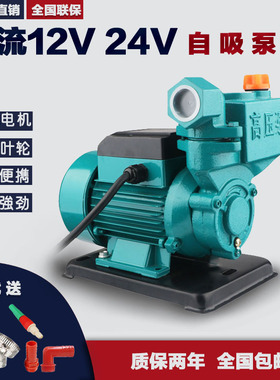 直流变频12v48v小型自吸水泵车载抽水机洒水浇菜洗车花园抽水泵