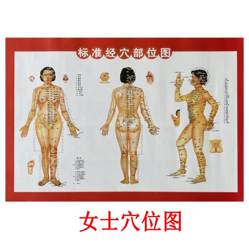 艾灸锥子延长器艾条针工具配件女士人体经络穴位图灭火帽艾绒香包,个性定制/设计服务/DIY,明信片定制,淘宝优惠券,粉丝福利购,淘宝优惠卷