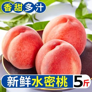 新鲜水果2 超甜水蜜桃桃子毛桃当季 9斤整箱批发价 精选 包邮