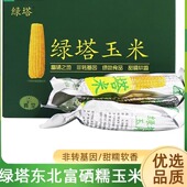 2025绿塔玉米粘富硒速冻东北甜糯真空小粒玉米棒10根20根非转基因