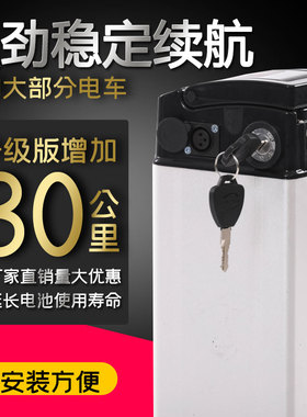 帕加迪电动车锂电池1o865v0代驾车海霸大银鱼48V伏代步车折叠车电