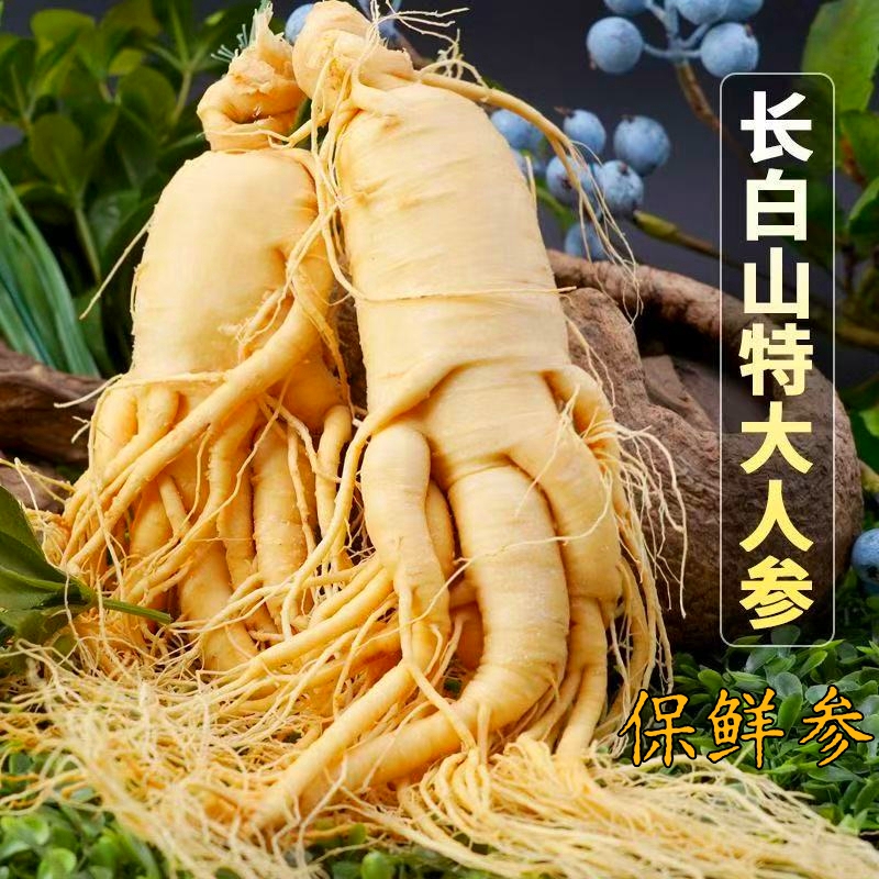 保鲜人参长白山白参特大新鲜人参保鲜参东北特产煲汤泡水泡酒