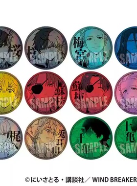 喵喵预订BH 防风铃 WIND BREAKER 单色闪吧唧徽章 02501 周边