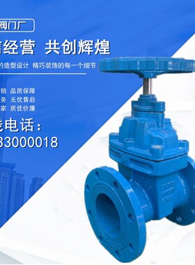 Z45X-10/16Q暗杆软密封闸阀弹性座封闸阀DN65H801001502002503005