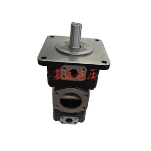 1R00 B04 B101船舶机械油泵T6DCC 028 003 T67DBB 017 eB24