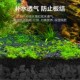 火山石鱼缸底砂造景装 饰沙石头古法养鱼水草泥铺底火W山岩滤材颗