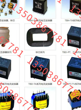 DSH-TVw1 电压变换器