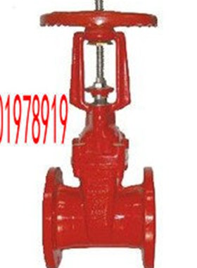 上海团园阀门 RRHR-10-16 消防法兰D闸阀 DN800 消防明杆闸阀 3寸