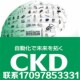 单动气缸SMD2 40SMD2 CKD自由安装 25x