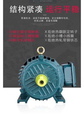 YX23 YE2 YE3-90S 90L 1002L Y112GM 13S 132M- 4 6 国标铜线电机