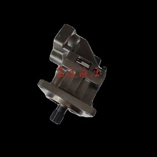 060x 0000 090 P0柱塞油泵 000 110 行走液压马达F12