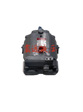 液压柱塞泵 HPP-VD2Vw-F31A3-A 液压油泵 齿轮泵 质保