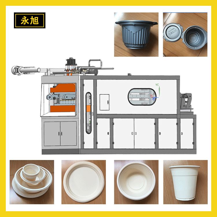 可降解塑料杯热成型制杯机玉米淀粉塑料包装快餐盒成型机