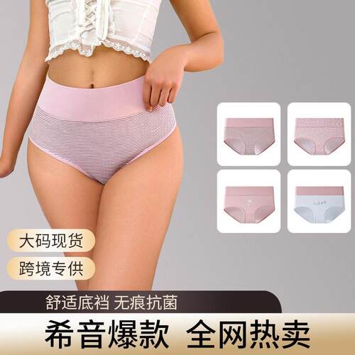 Women Waisted Brief Panties 8 Underwear Breathable Knicker