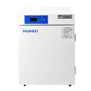 上海跃进恒字牌HDPF电热恒温培养箱系列原HH.B11.BY