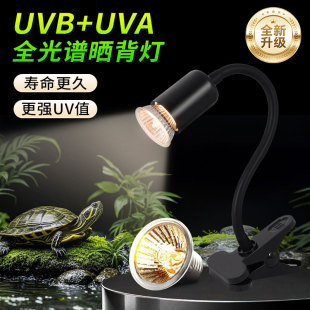 乌龟专用晒背灯爬宠uvbuva灯全光谱太阳灯定时灯架蜥蜴陆龟保温灯