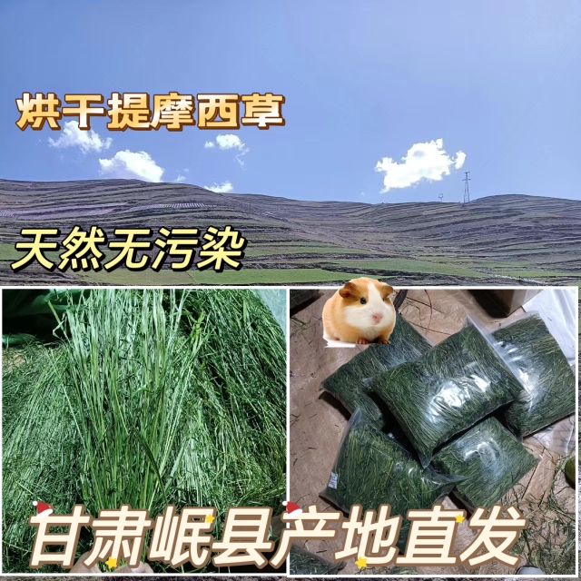 烘干提摩西草叶多杆少头茬无穗草段兔粮兔草幼兔草龙猫荷兰猪牧草