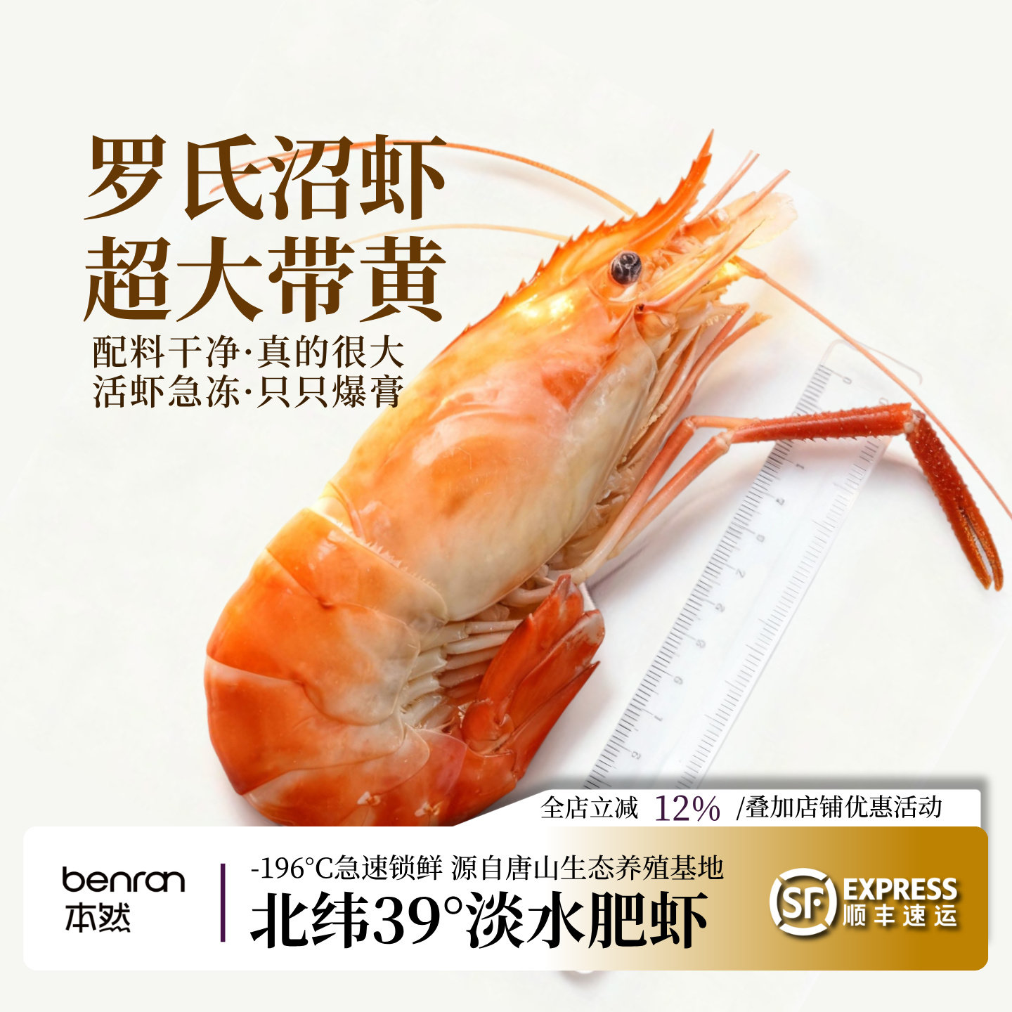 熟冻罗氏沼虾大头虾饱满虾膏大虾图片