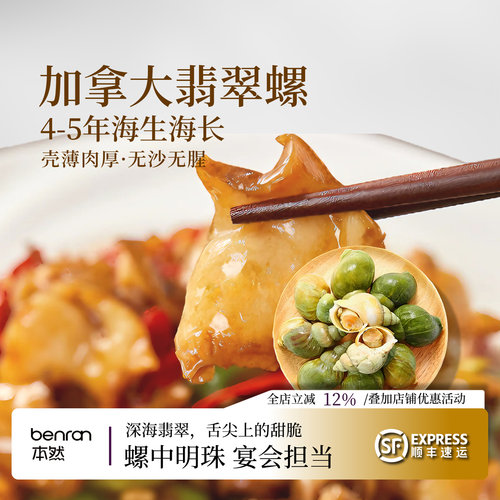 本然加拿大翡翠螺壳薄肉厚海生海
