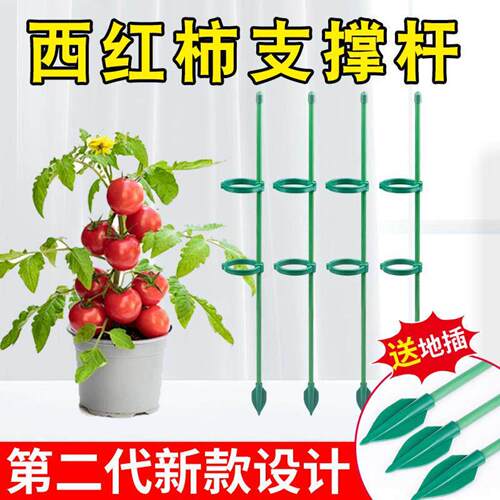 西红柿支撑杆花支撑架植物防倒伏茄辣椒茄子固定杆爬藤园艺番花架