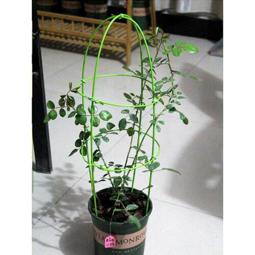 花架爬藤架造铁架子植物造型包塑软线支撑杆靠墙固定藤架花支型架