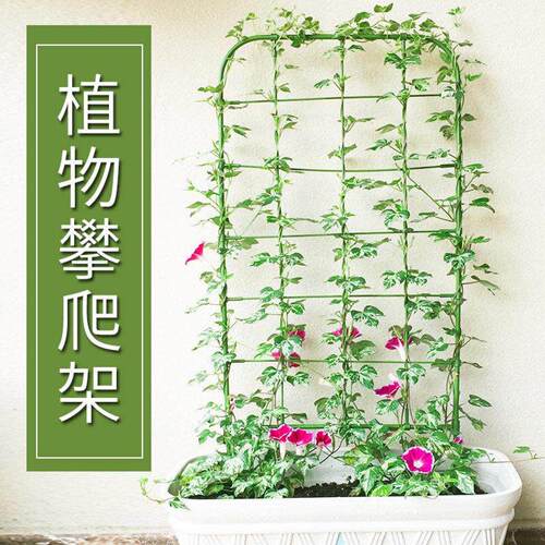 爬藤植物花支架牵牛花网型格造花屏架子阳台盆栽绿植月季攀援牵引