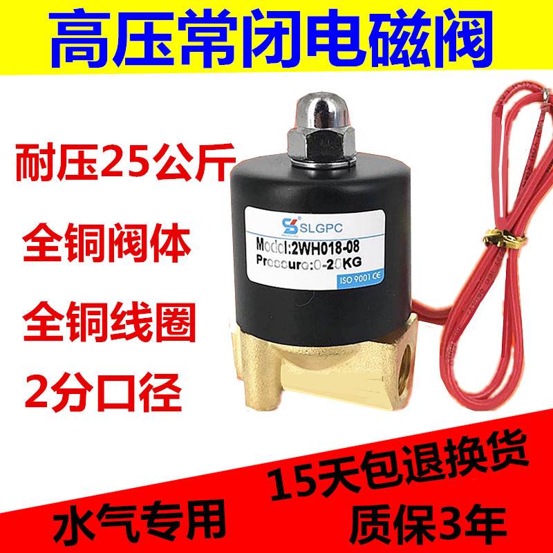 高压电磁阀 2WH018-08 2分/3分高压气阀 耐压25KG AC220V DC24V