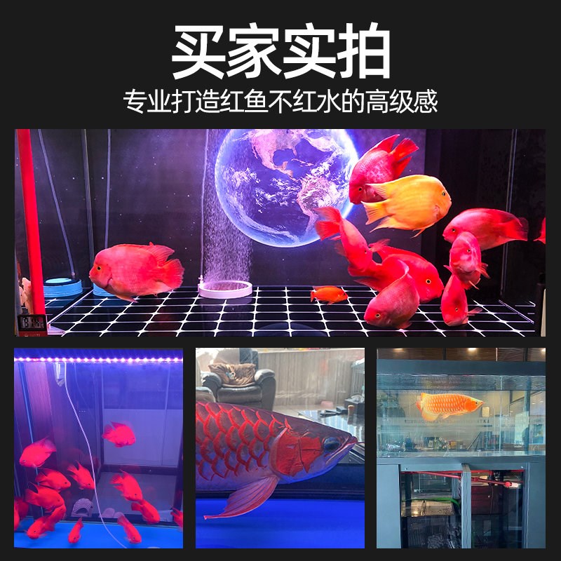 龙鱼灯鱼缸灯led灯防水超亮潜水观赏增K红增艳不红水照明专用金龙