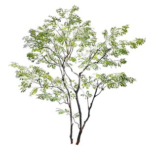 彷真绿植造景大型景观L室内采光井绿植景观酒店橱窗大型场景设计