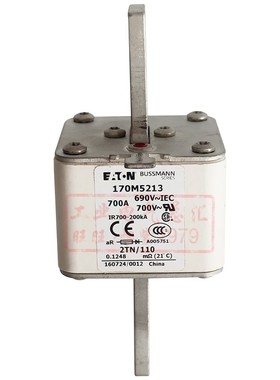 170M5213-5210-l5212-5214-5215-5216-5217-5218 690V 700A 熔断