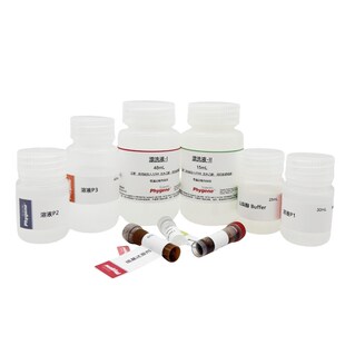 酵母质粒提取试剂盒 Yeast Pslasmid Extraction Kit 核酸提取 50