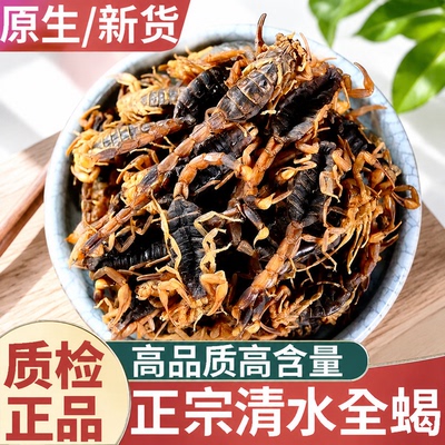 正品蝎子干全虫新货中药材