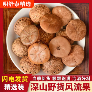 广西风流果野生新货泡酒泡茶泡水中药材石头果正宗正品官方旗舰店