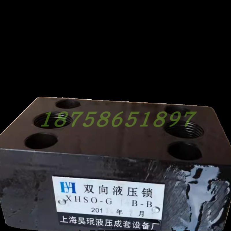 XHSO-GB-B XHSO-Gp14B-B XHSO-G8B-B XHS0-GB-B 双向液压锁 油缸