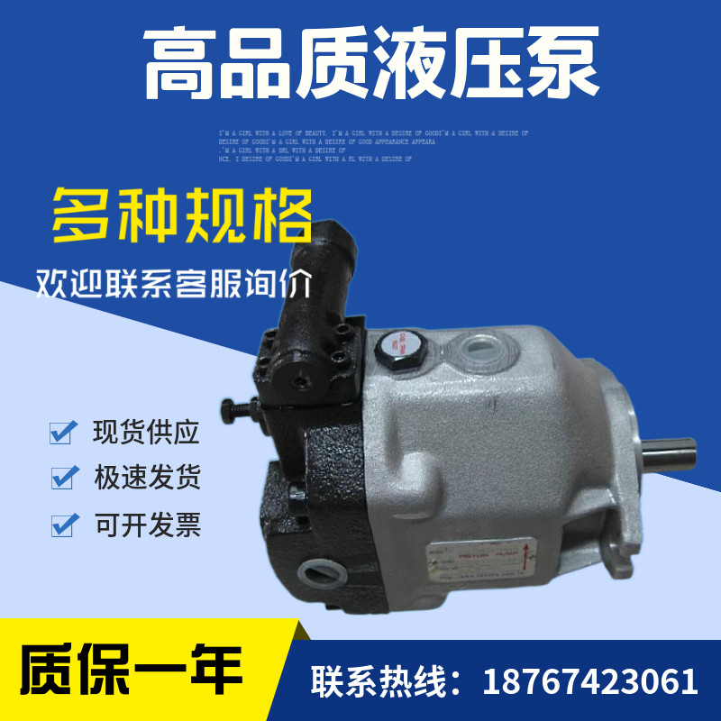 台湾柱塞泵AR16FR01CK1s0Y-1005油泵AR16FR01BK10Y-1005,标准件/零部件/工业耗材,液压泵,淘宝优惠券,粉丝福利购,淘宝优惠卷